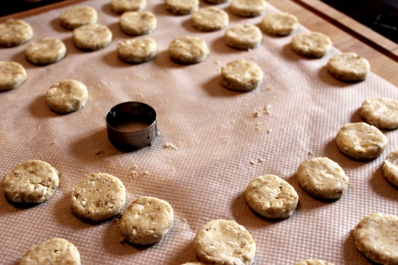 Walnut Feta Cookies 4